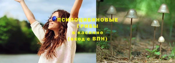 2c-b Белокуриха